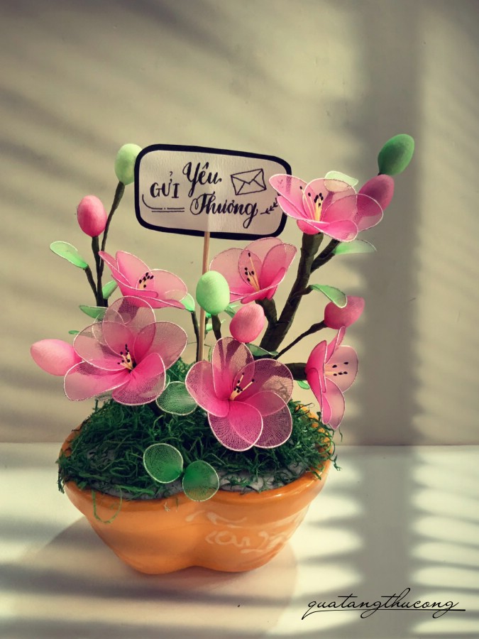 Chậu hoa voan mẫu 5